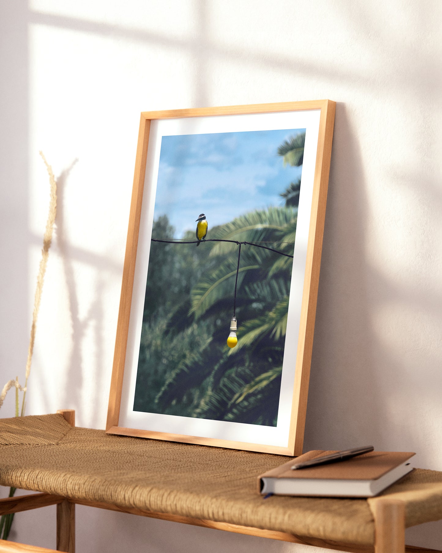 Fotografía de arte y naturaleza impresa y enmarcada