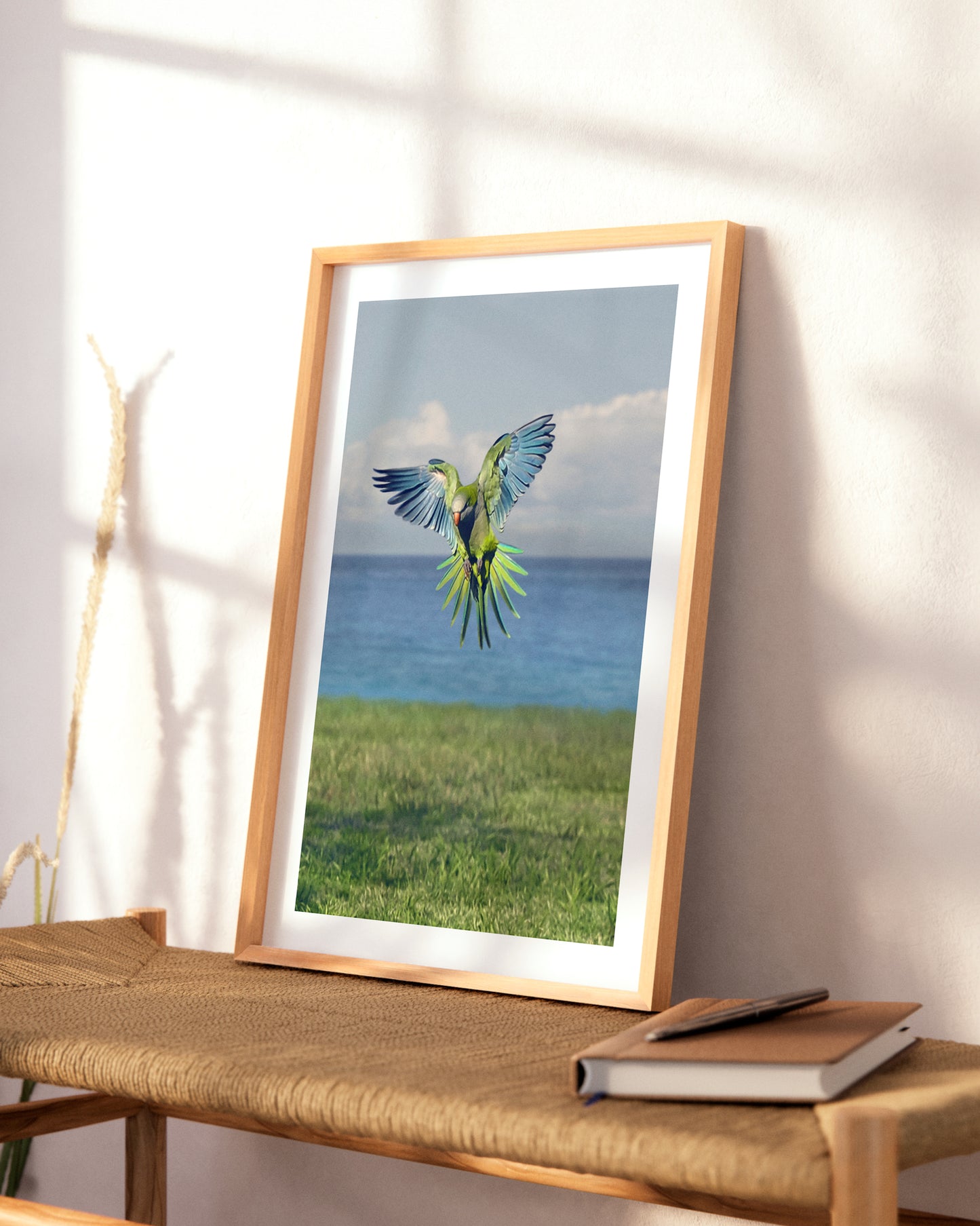 Fotografía de aves impresa y enmarcada