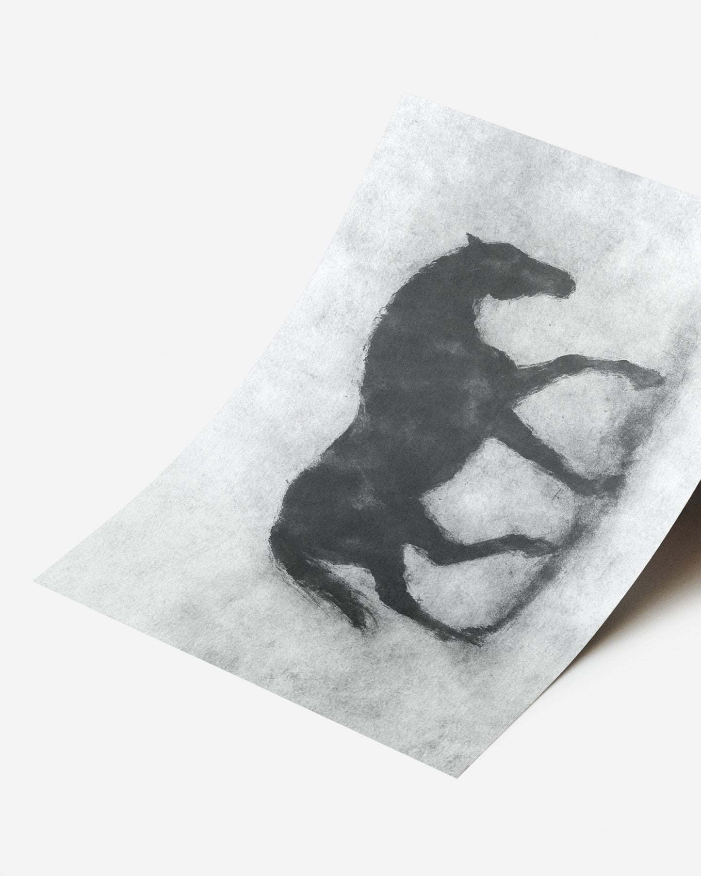 Cuadro de animales ilustrados en tinta sobre fondo blanco