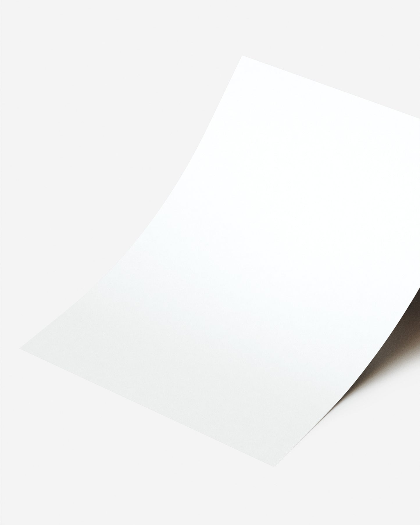 Archivo Digital – Pedido Personalizado
