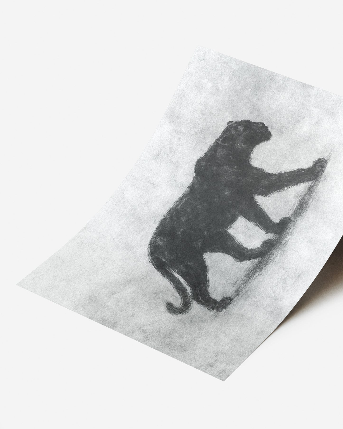 Ilustración animal con estilo moderno enmarcado