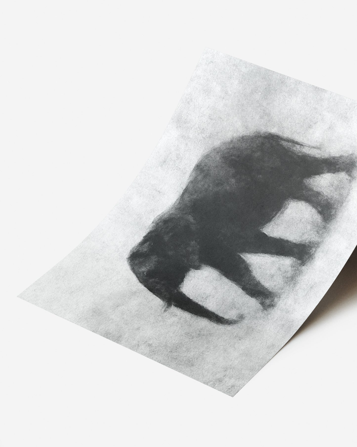 Lámina visual en blanco y negro con estilo contemporáneo y artístico