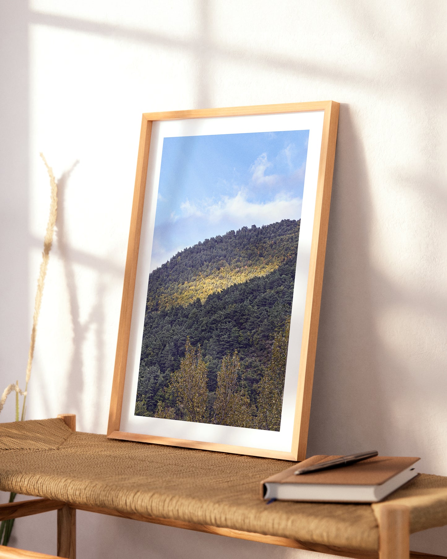 fotografía de la naturaleza impresa y enmarcada