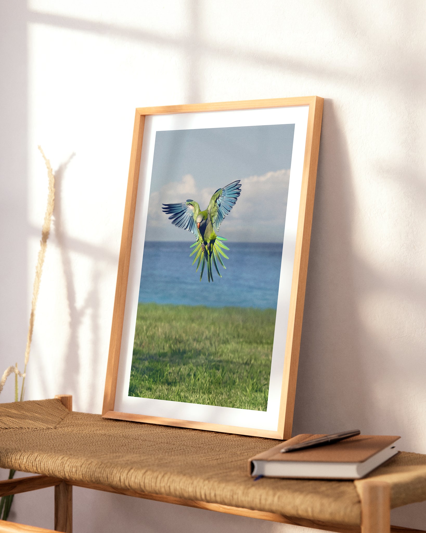 Fotografía de aves impresa y enmarcada